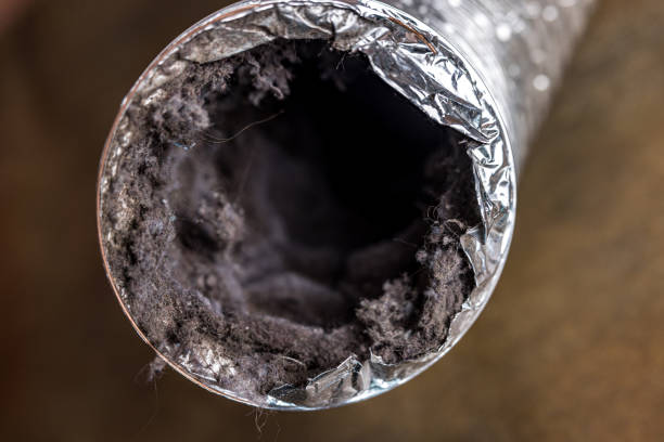 Best Local Air Duct Cleaning Services  in Springfield, OR