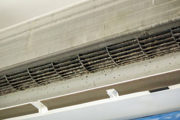 Best Affordable HVAC Duct Cleaning  in Springfield, OR